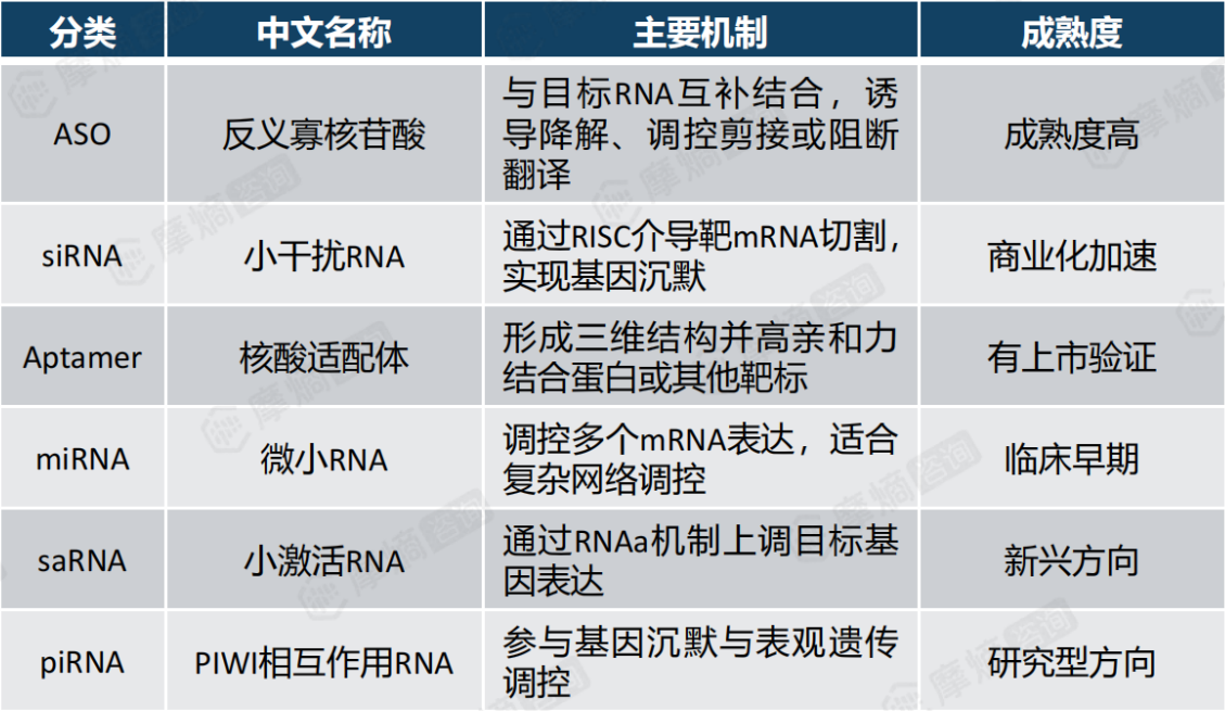 小核酸药物主要类型