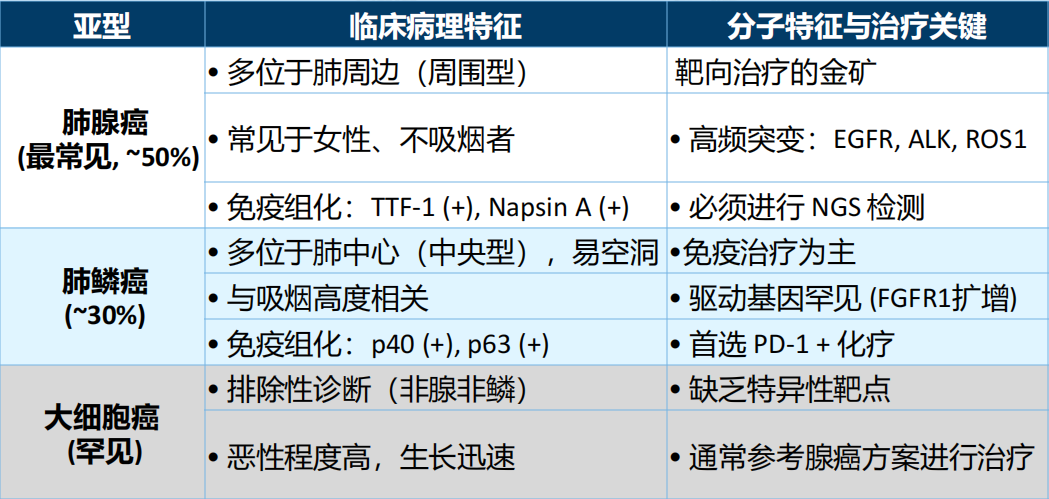 非小细胞肺癌分型