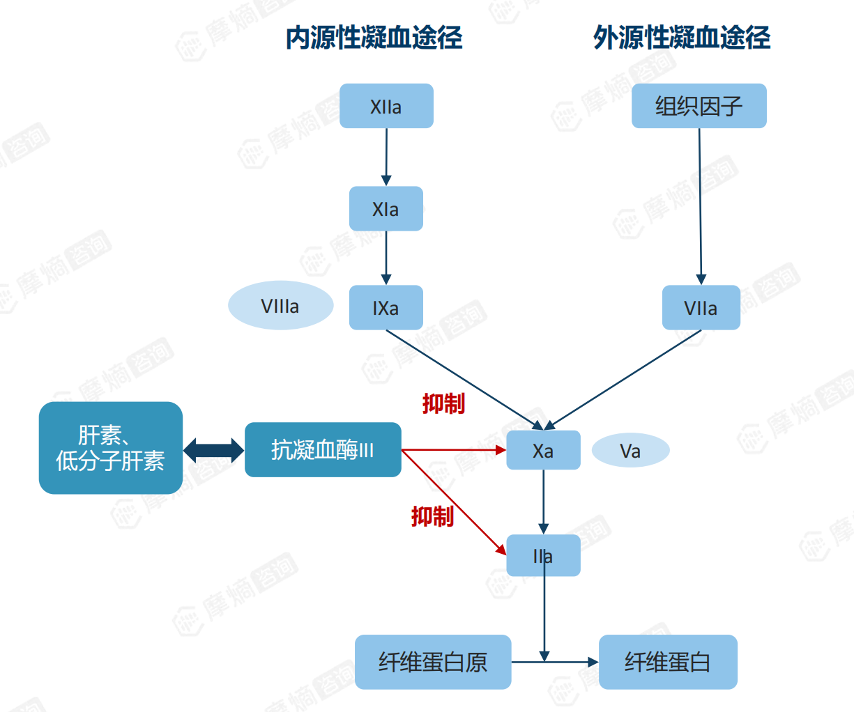 肝素抗凝血作用机制
