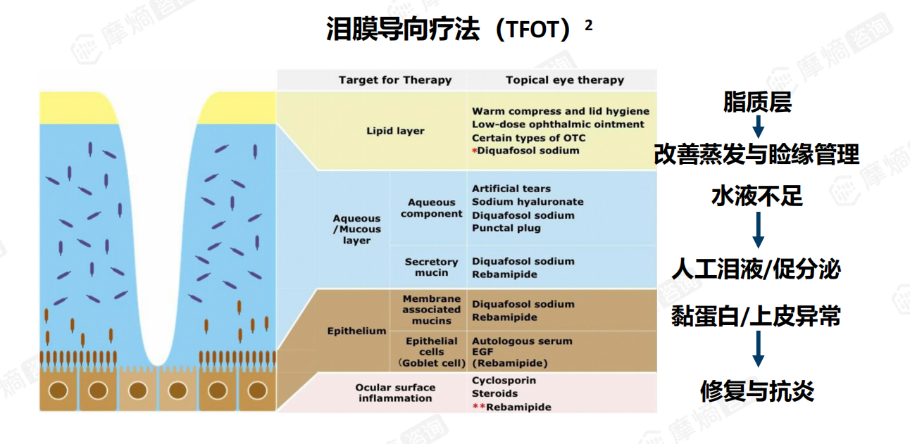 泪膜导向疗法（TFOT）