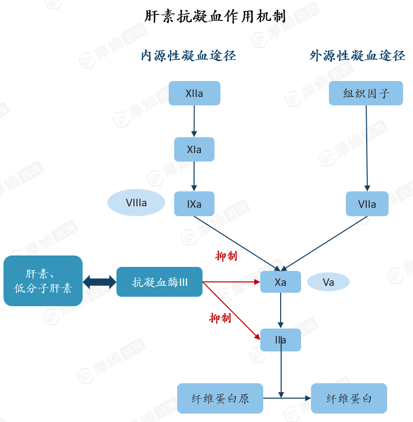 肝素抗凝血作用机制