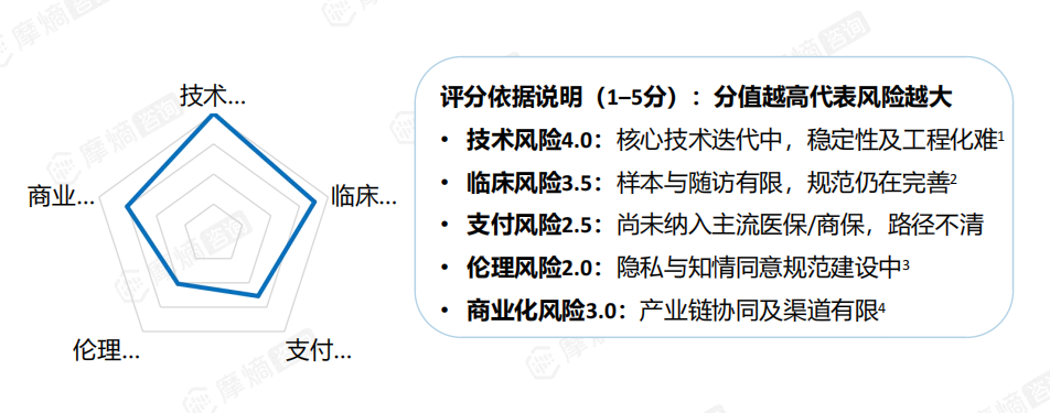 脑机接口产业风险评估雷达图