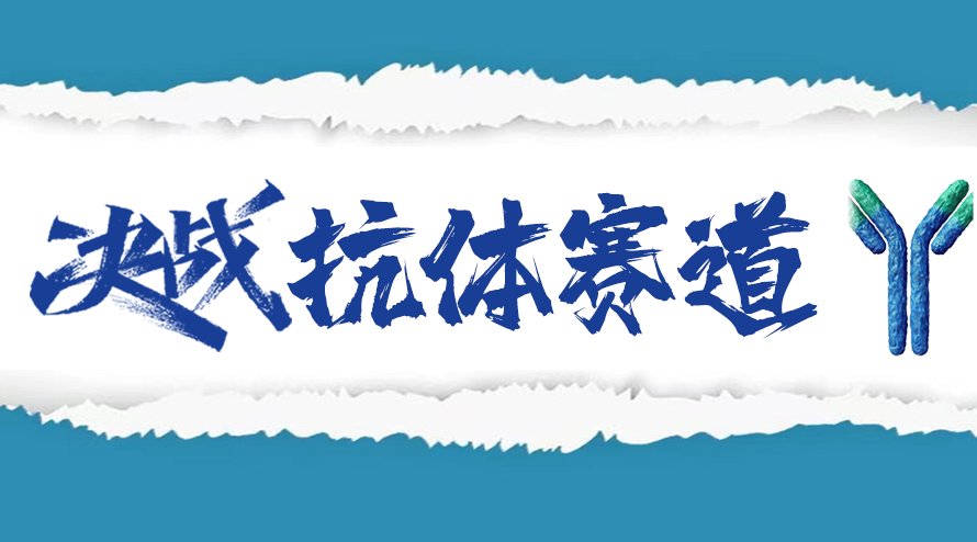 决战抗体赛道