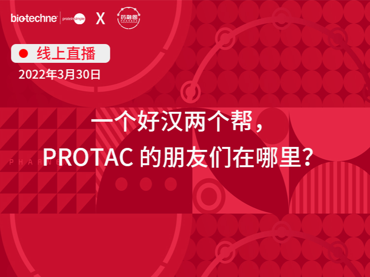 32期：一个好汉两个帮，PROTAC的朋友们在哪里