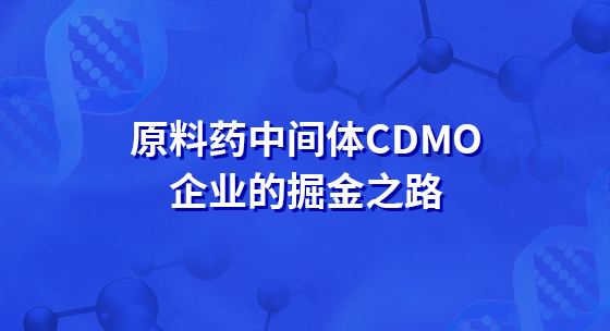 原料药中间体CDMO企业的掘金之路