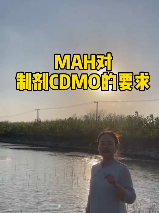 MAH对制剂CDMO的要求