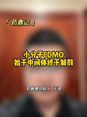小分子CDMO：始于中间体终于制剂