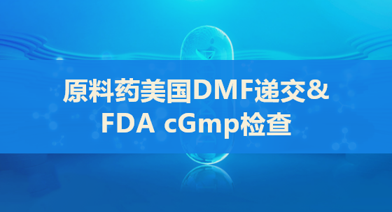 原料药美国DMF递交&FDA cGmp检查