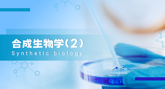 合成生物学（2)