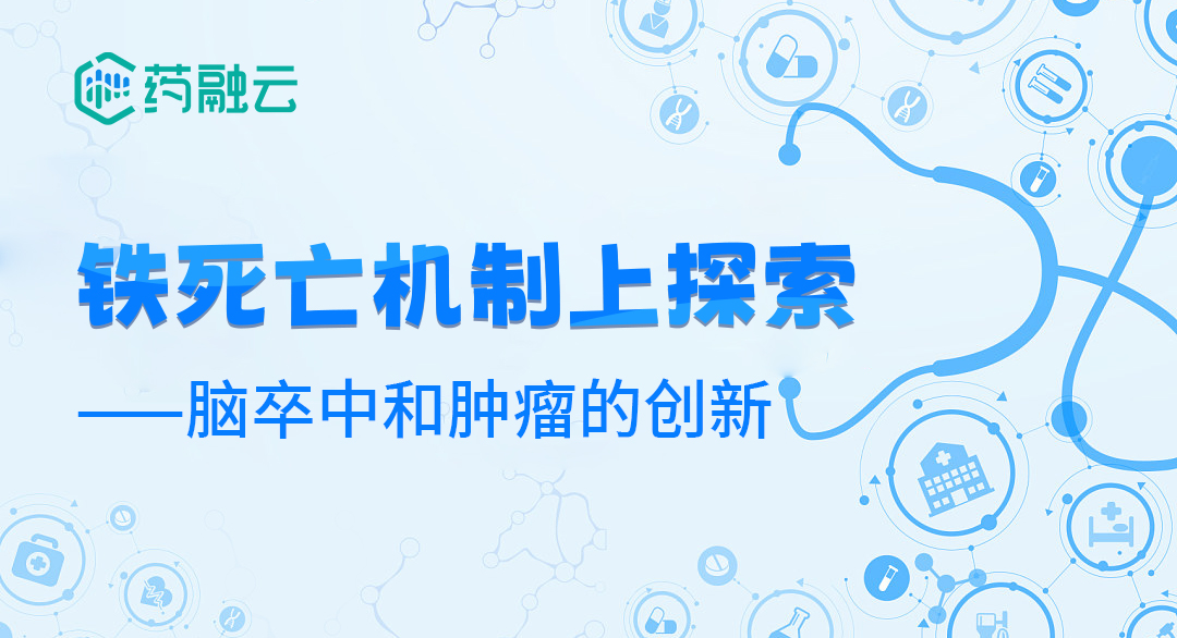 铁死亡机制上探索脑卒中和肿瘤的创新