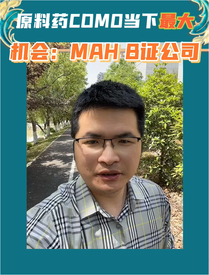 原料药CDMO当下最大机会：MAH B证公司