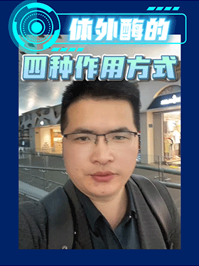 体外酶的四种作用方式