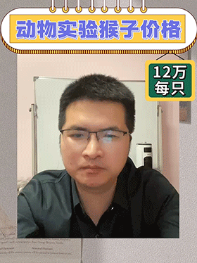 动物实验猴子价格砍半12万每只