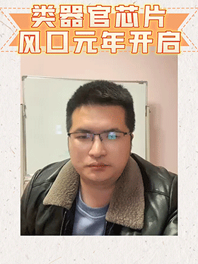 类器官芯片风口元年开启