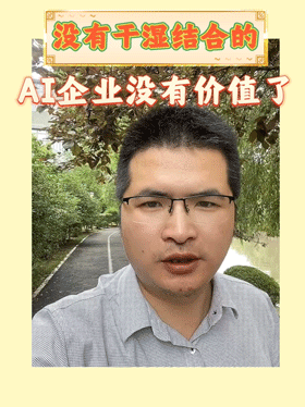 没有干湿结合的AI企业没有价值了