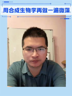 用合成生物学再做一遍微藻