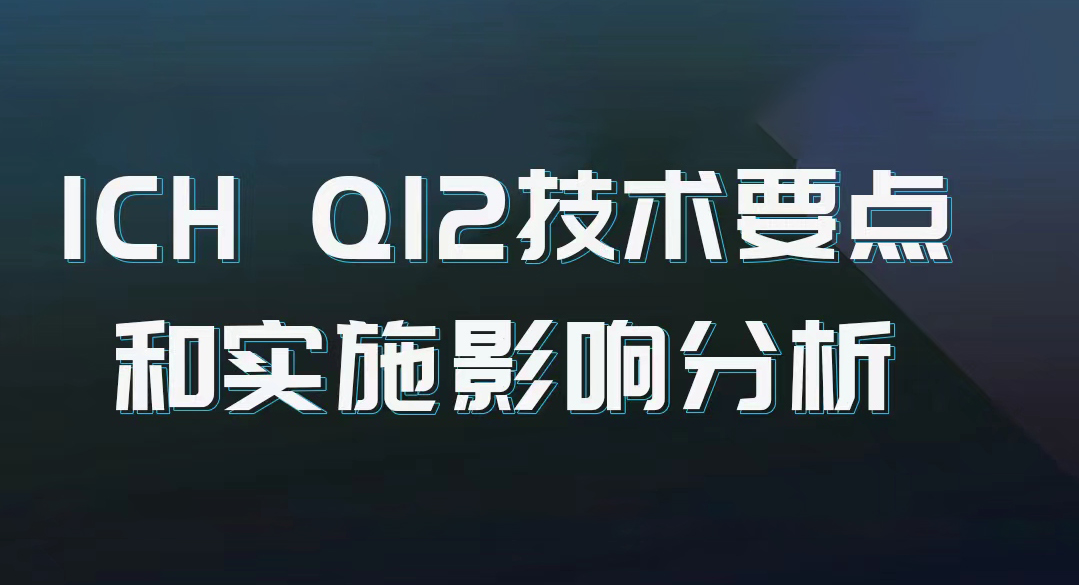 ICH Ql2技术要点和实施影响分析