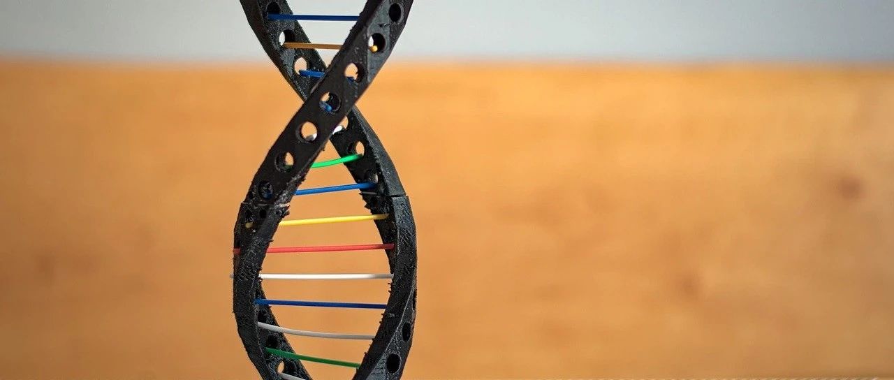 中国创新医疗器械&优先审批器械结构分析报告！