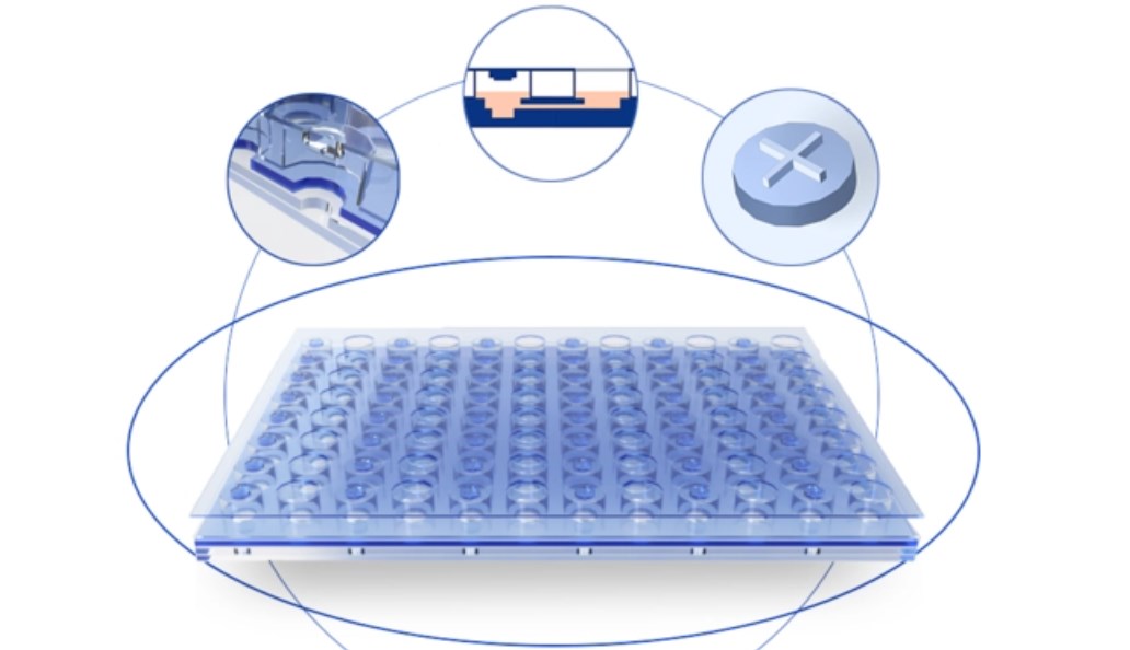 2018-2023年全球类器官芯片市场规模及预测