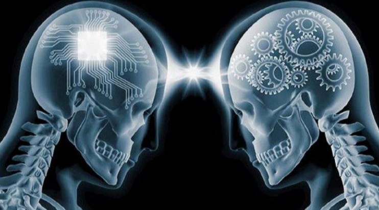 盘点2024年全球知名的7家海外脑机接口（BCI）公司