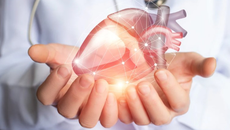 澳大利亚政府宣布投资5000万澳元用于人工心脏开发