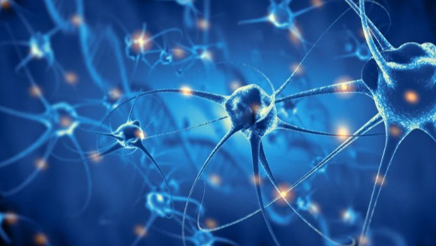 痴呆症的全球治疗差距：诊断技术的发展与应用