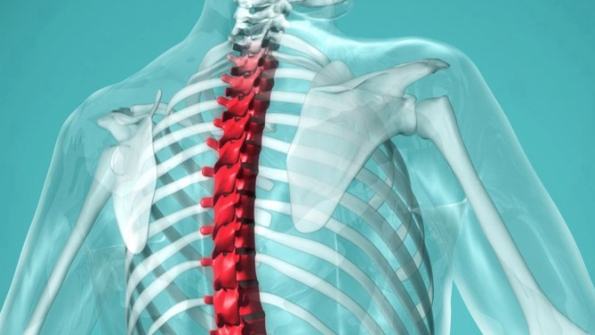 ZimVie退出脊柱市场，更名为 Highridge Medical