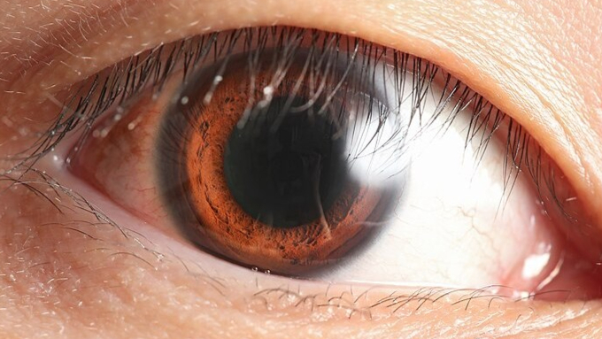 眼科新医疗设备：合成手术补片EverPatch 最近获得 FDA 510(k) 批准