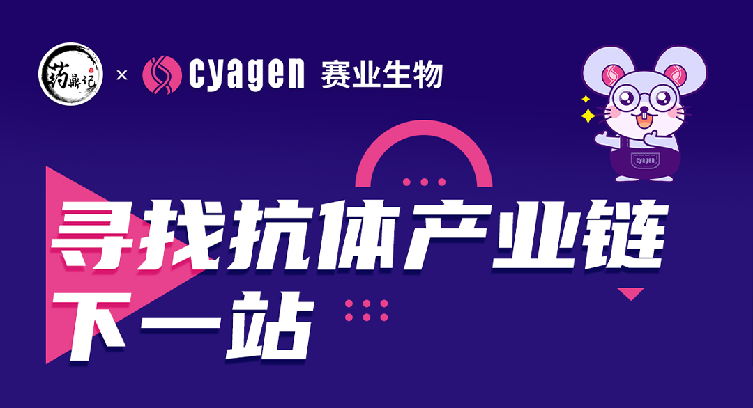 抗体产业链发展：深度剖析抗体药物开发技术及其应用
