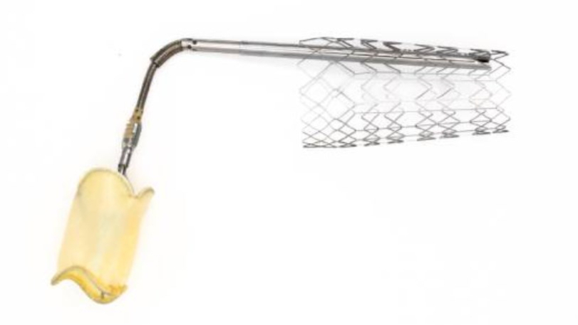 三尖瓣共吻合瓣系统的创新之路及市场潜力