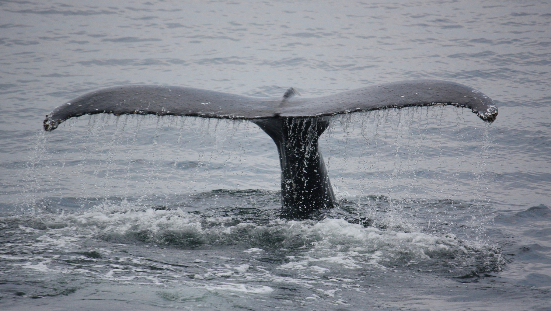 NMPA-医疗器械被处罚案例公示