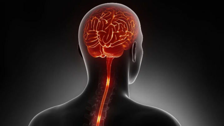 FDA批准美敦力闭环脊髓刺激器装置