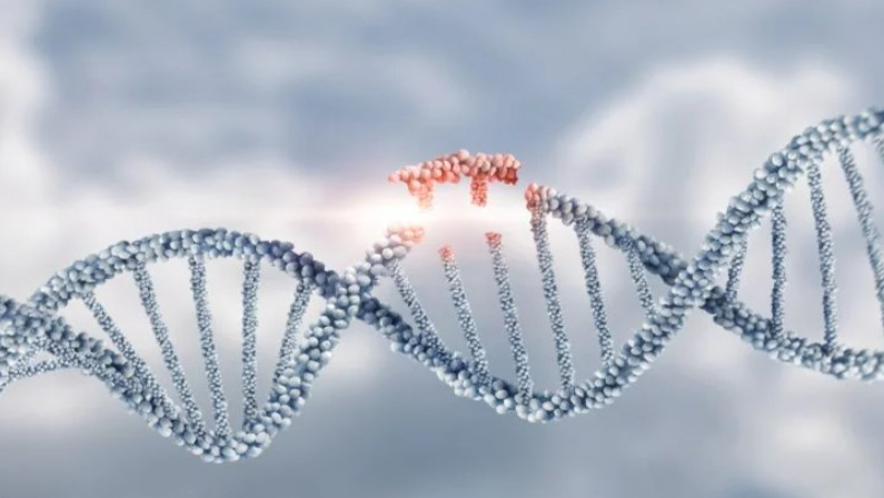 Limula筹集了680万美元，以加速细胞疗法生产平台