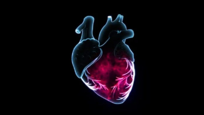 FIRE1 在爱尔兰植入首例血管传感器患者