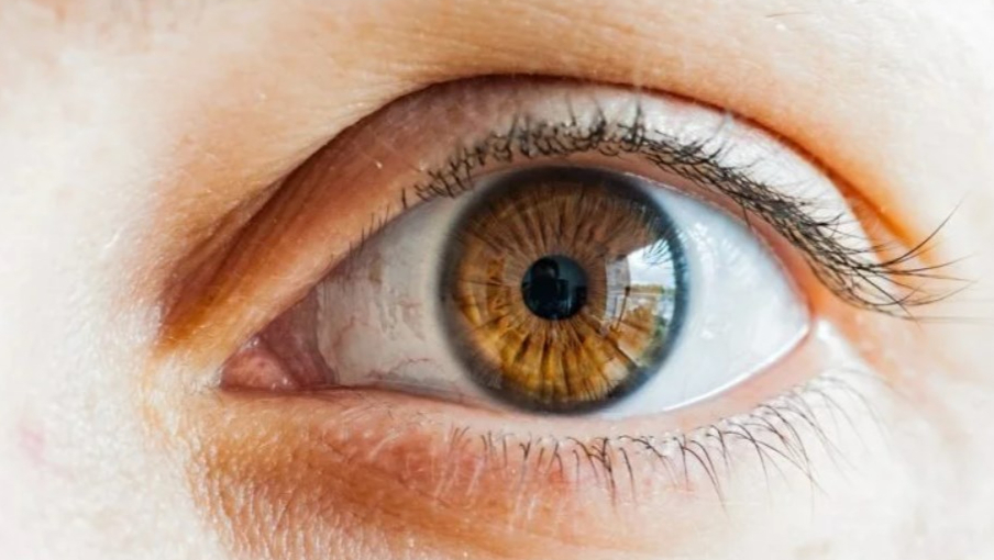 眼科测试自助终端设备-彻底改变领先眼镜品牌进行视力测试