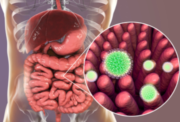 2028年美国临床肿瘤学会泌尿生殖系统癌症研讨会（ASCO-GU）