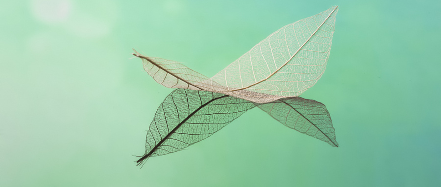 6.14-16苏州 “抗体药临床前评价与临床试验” 研修班