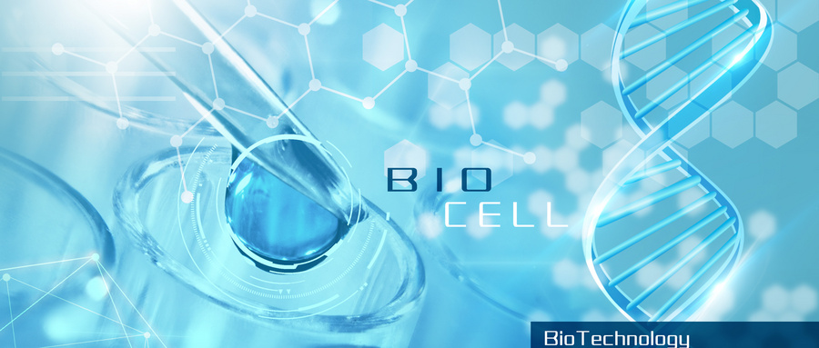 2019 基因毒性杂质控制策略及分析方法深度培训会