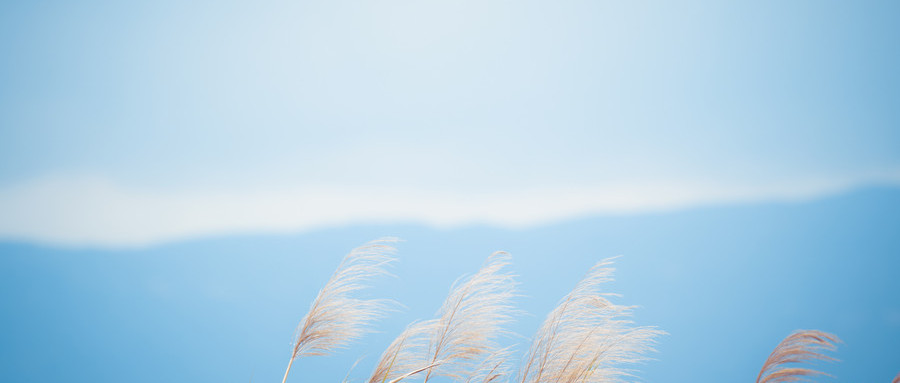 QA专员技能完善、提升与实操专 题培训班