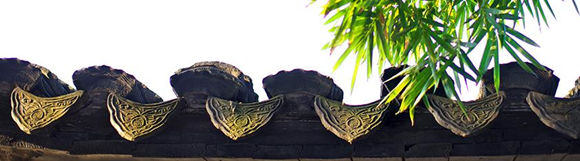 2016冷泉港亚洲会议：神经回路的发育、功能与疾病