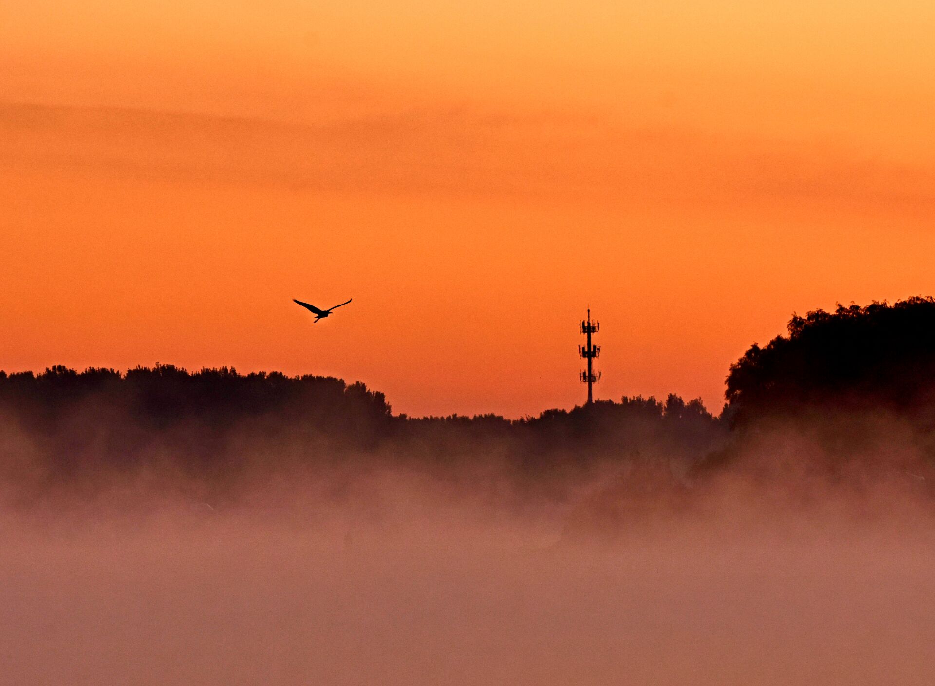注射剂一致性评价疑难问题深度解析专题