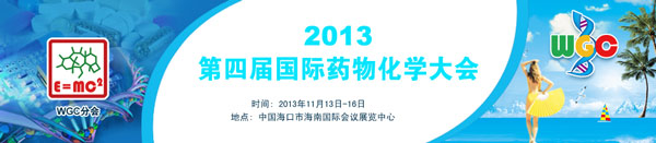 2013第四届国际药物化学大会