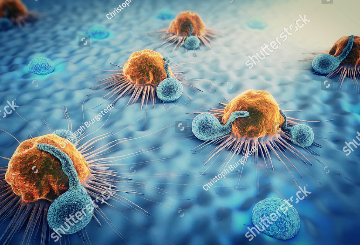 2024年欧洲肿瘤内科学会亚洲会议（ESMO-ASIA)