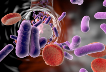 2023年美国临床肿瘤学会泌尿生殖系统癌症研讨会（ASCO-GU）