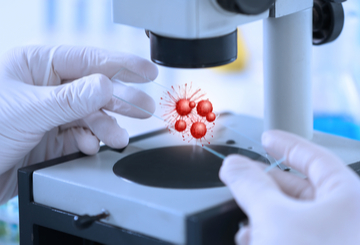 2017年欧洲肿瘤内科学会亚洲会议（ESMO-ASIA)