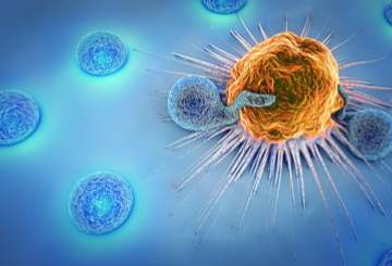 2023年第25届世界胃肠道癌大会（WCGI-ESMO）