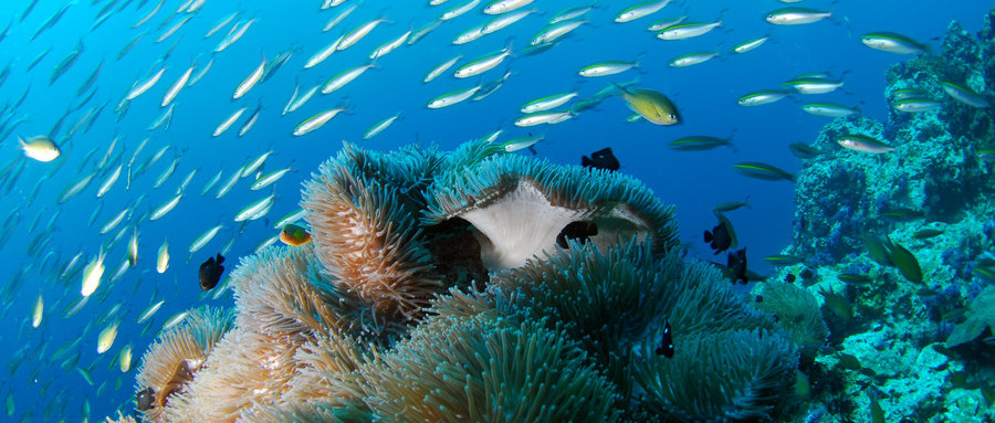 2018中国蛋白药质量与技术创新研讨会