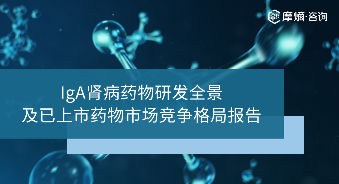 IgA 肾病药物研发全景及已上市药物市场竞争格局报告