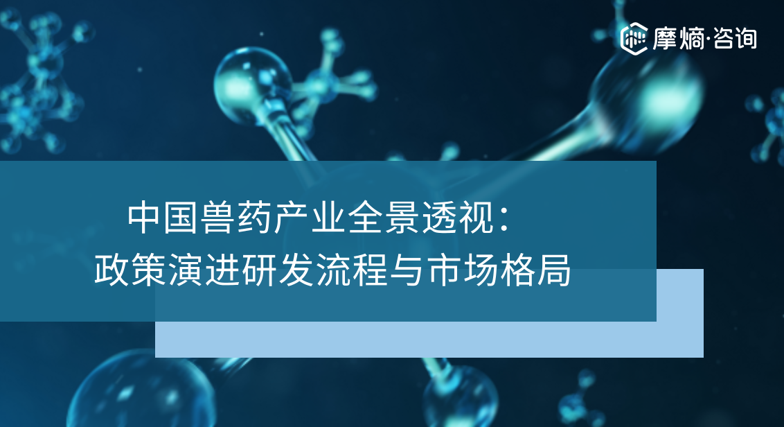中国兽药产业全景透视：政策演进研发流程与市场格局