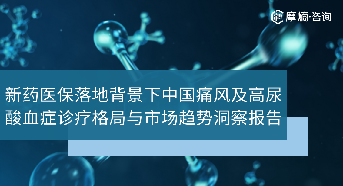 新药医保落地背景下中国痛风及高尿酸血症诊疗格局与市场趋势洞察报告